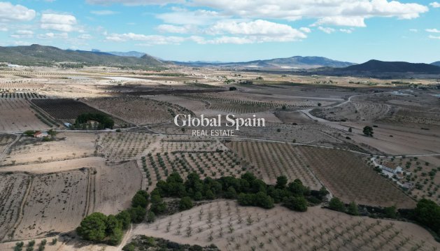 Tierra - Venta - Pinoso -
                Pinoso