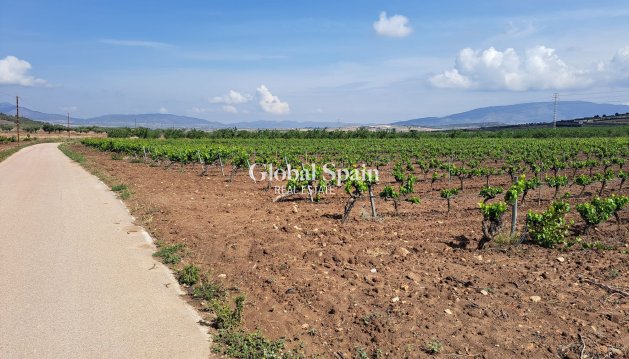 Tierra - Venta - Pinoso -
                Pinoso