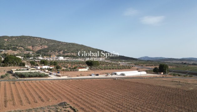 Tierra - Venta - Pinoso -
                Pinoso