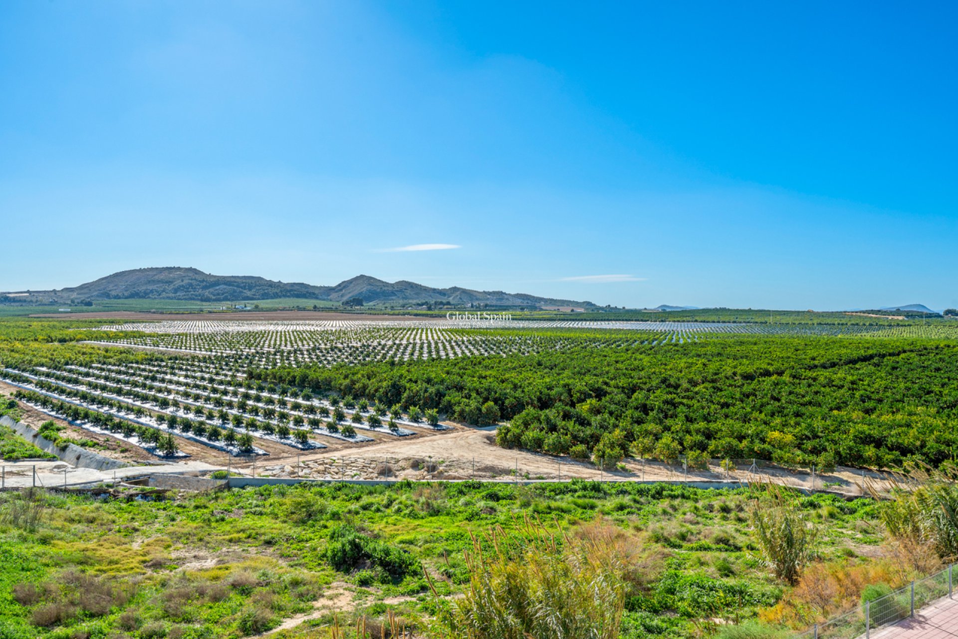 Venta - APARTAMENTO -
ALGORFA - Inland