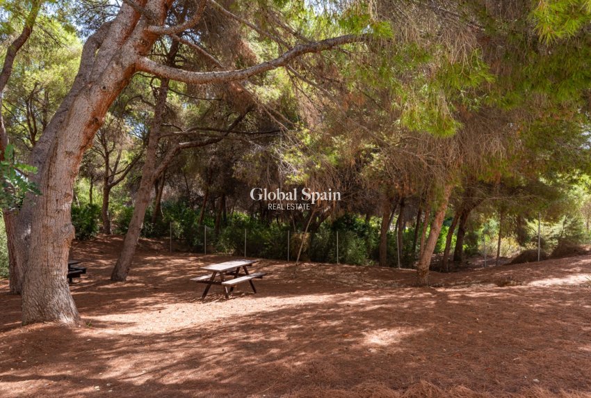 Venta - APARTAMENTO -
ALICANTE - Costa Blanca