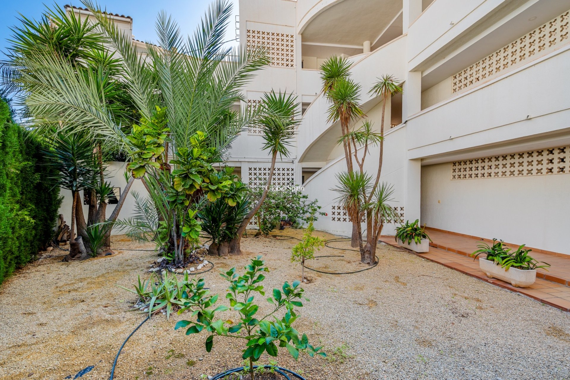 Venta - Apartamento -
ALTEA