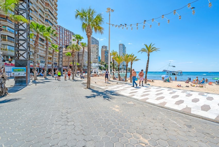 Venta - APARTAMENTO -
Benidorm - Levante
