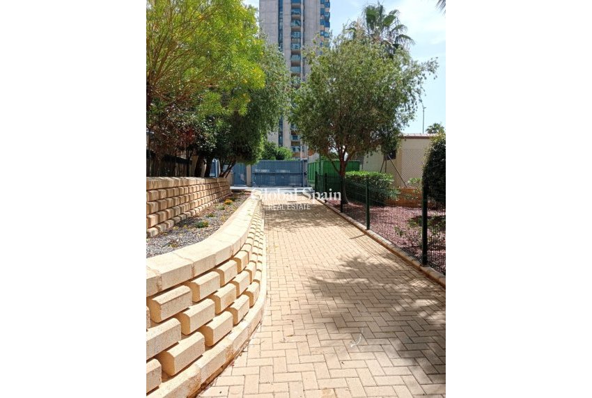 Venta - Apartamento -
Benidorm - Levante