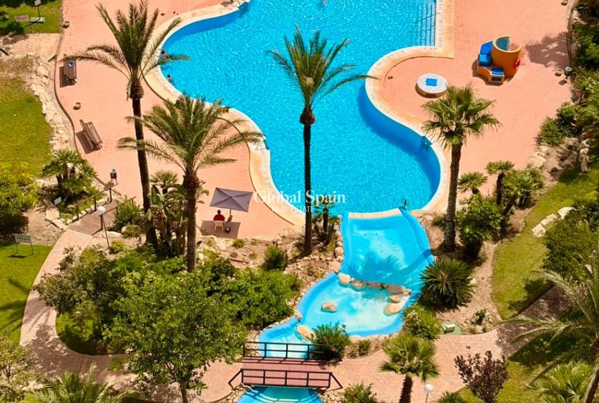 Venta - APARTAMENTO -
BENIDORM - Zona de Poniente