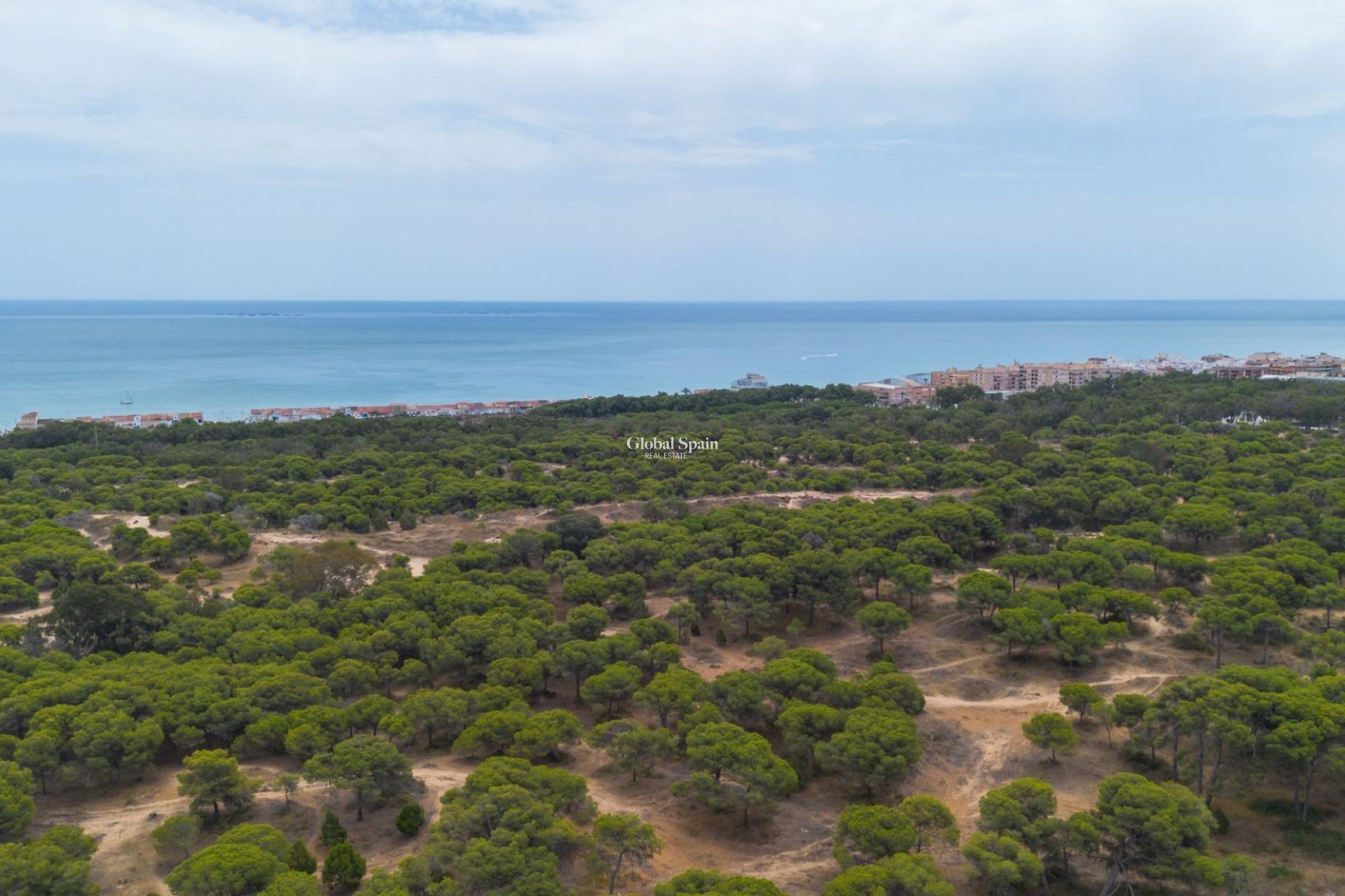 Venta - APARTAMENTO -
GUARDAMAR DEL SEGURA - Centro