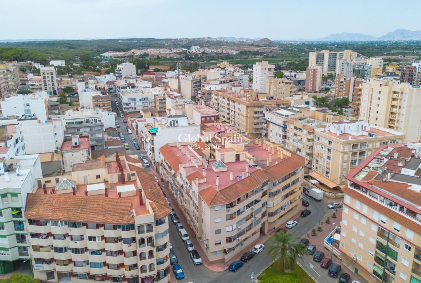 Venta - APARTAMENTO -
GUARDAMAR DEL SEGURA - Centro