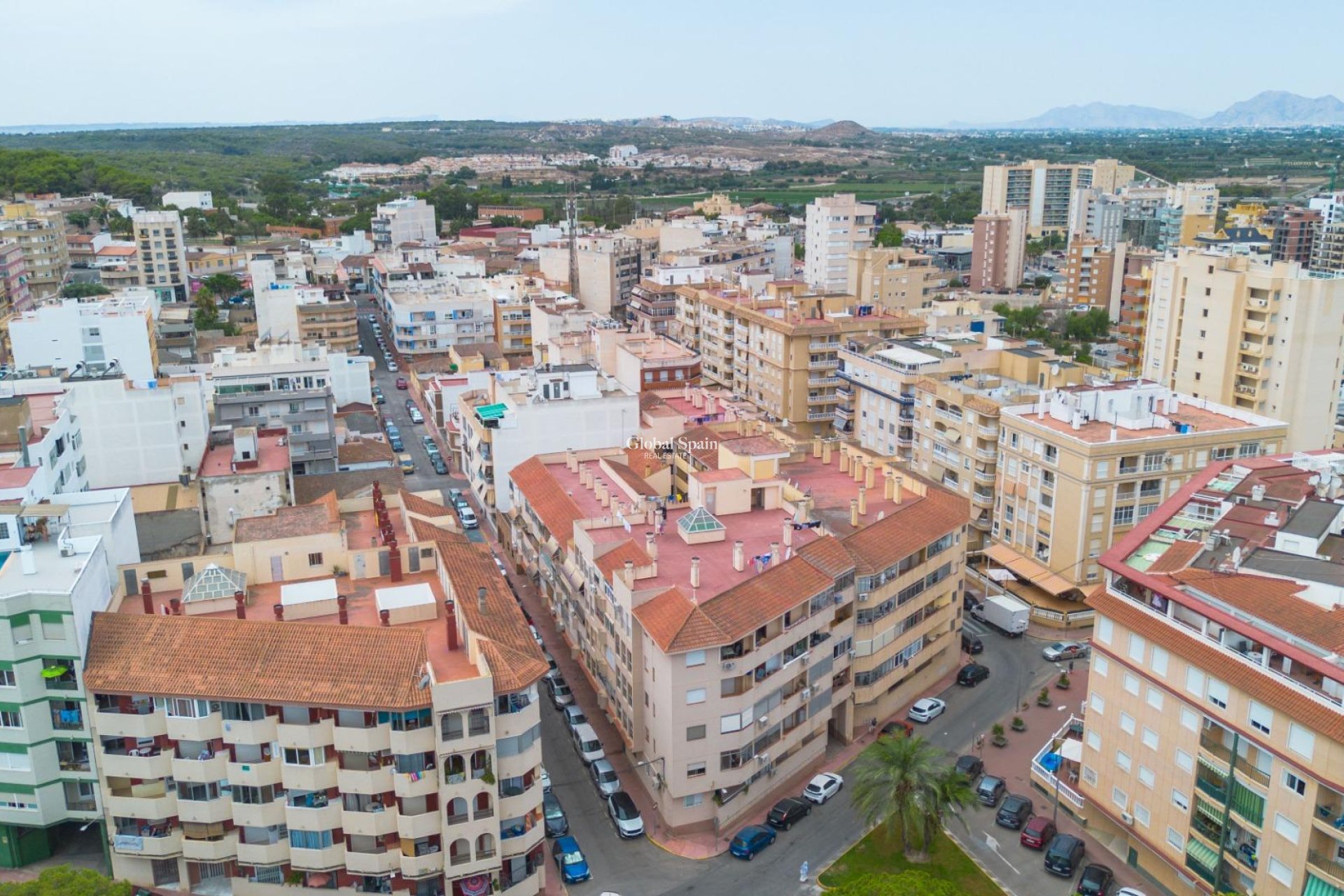 Venta - APARTAMENTO -
GUARDAMAR DEL SEGURA - Centro