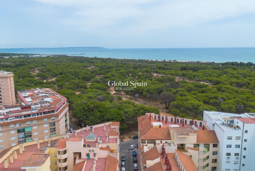 Venta - APARTAMENTO -
GUARDAMAR DEL SEGURA - Centro