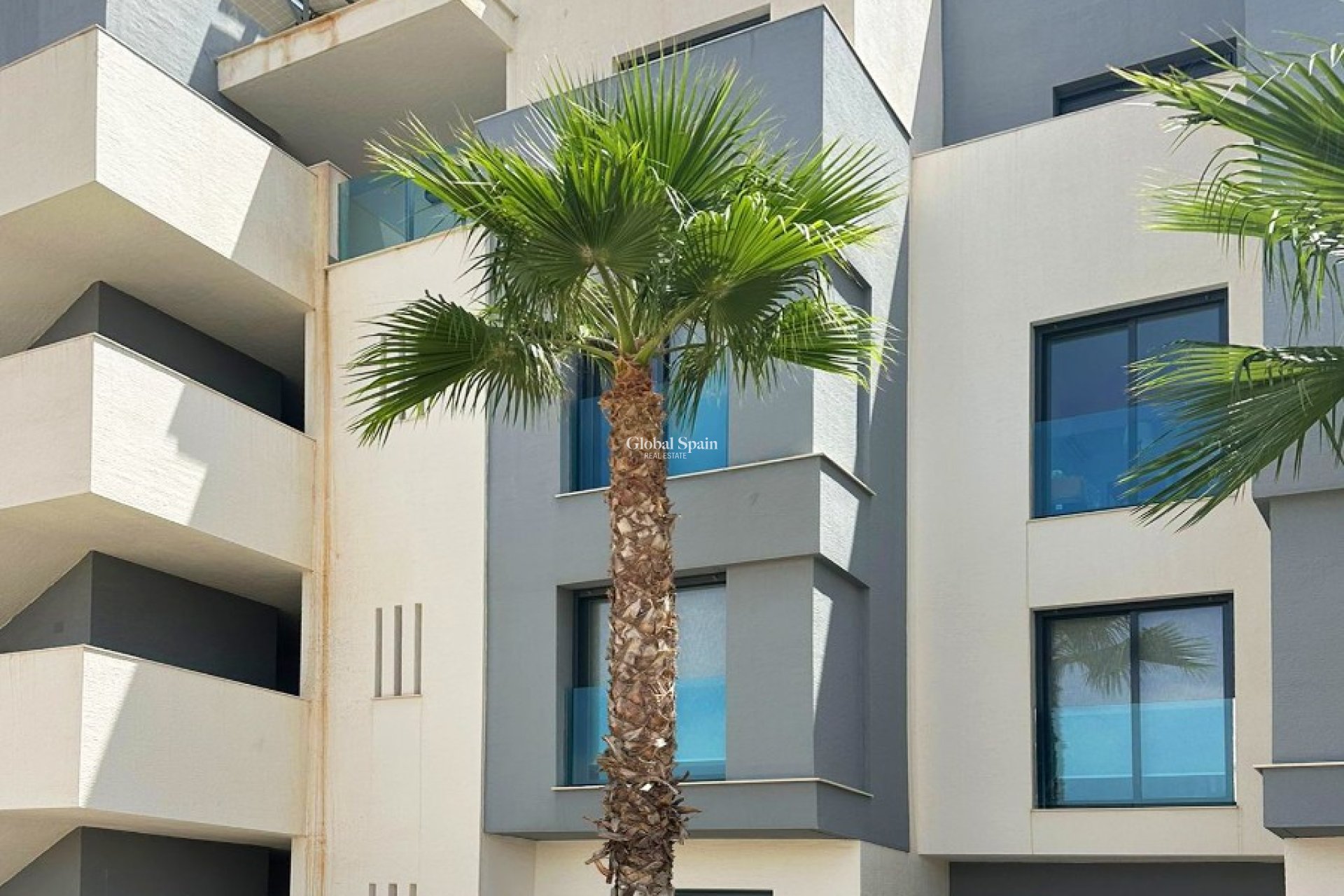 Venta - APARTAMENTO -
GUARDAMAR DEL SEGURA - Costa Blanca