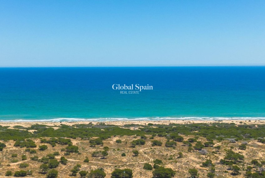 Venta - APARTAMENTO -
GUARDAMAR DEL SEGURA - El moncayo