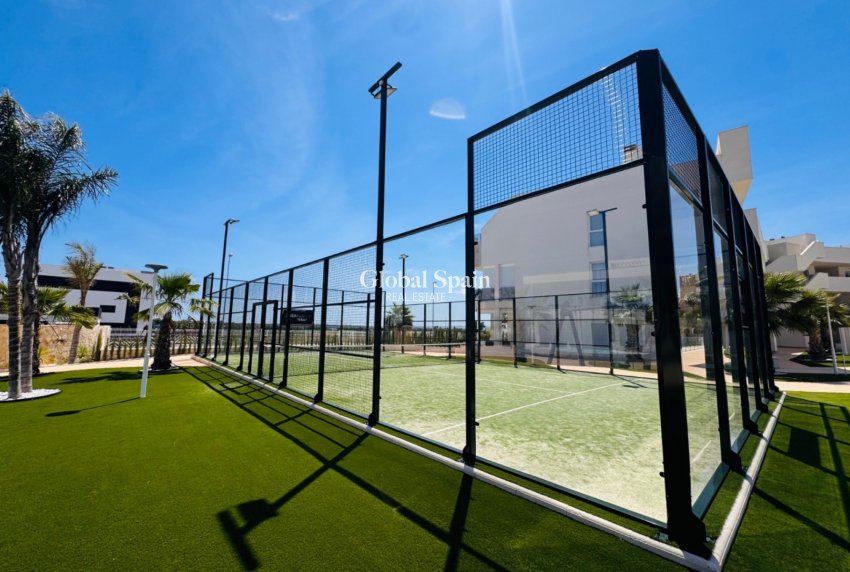 Venta - APARTAMENTO -
Guardamar del Segura - El Raso