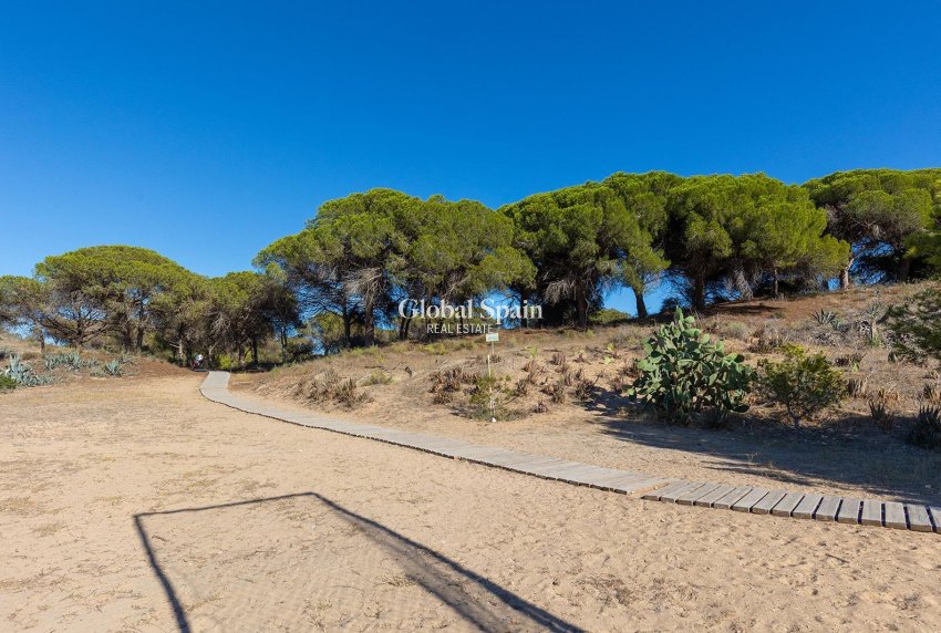 Venta - Apartamento -
GUARDAMAR DEL SEGURA - Urb. pinomar