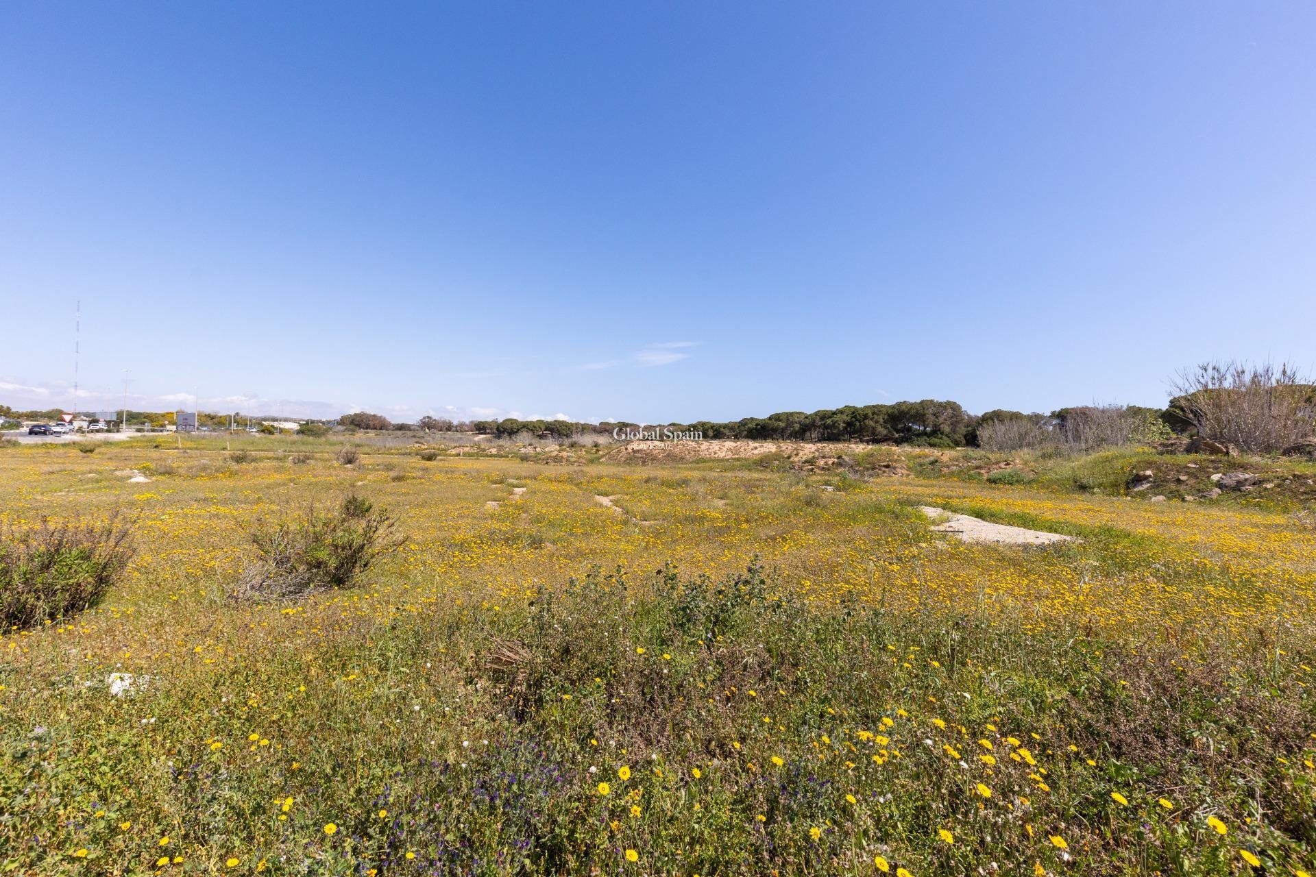 Venta - APARTAMENTO -
GUARDAMAR DEL SEGURA - Urbanizaciones