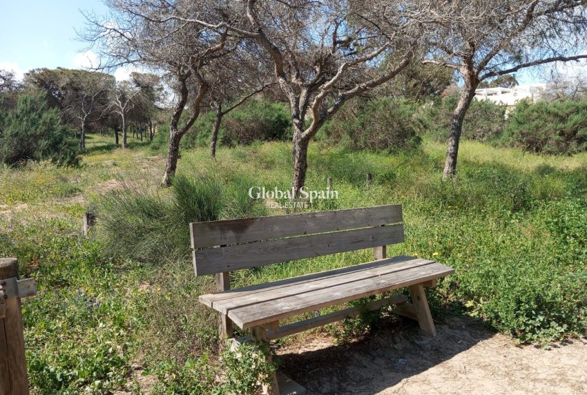 Venta - APARTAMENTO -
GUARDAMAR DEL SEGURA - Urbanizaciones