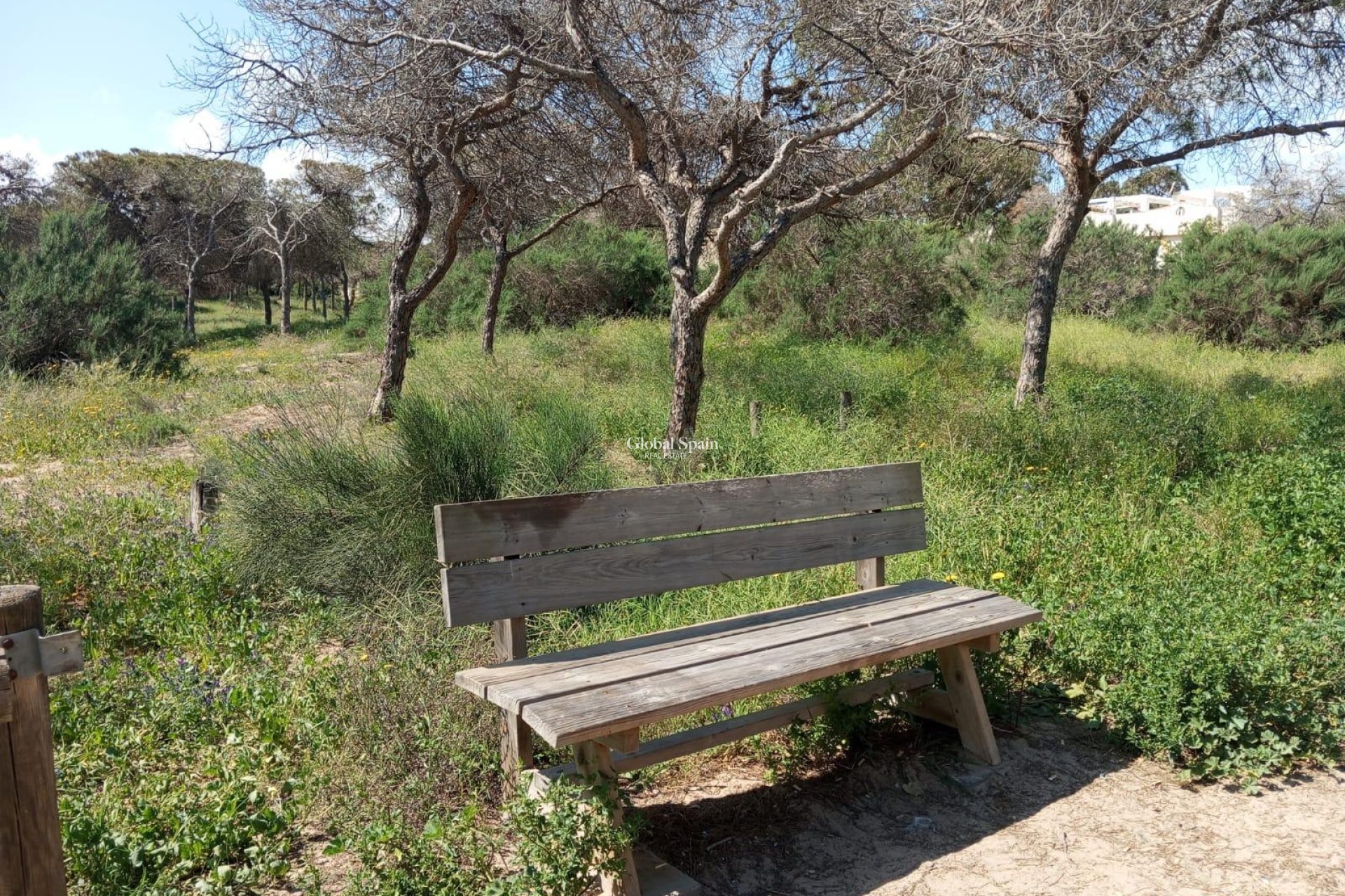 Venta - APARTAMENTO -
GUARDAMAR DEL SEGURA - Urbanizaciones