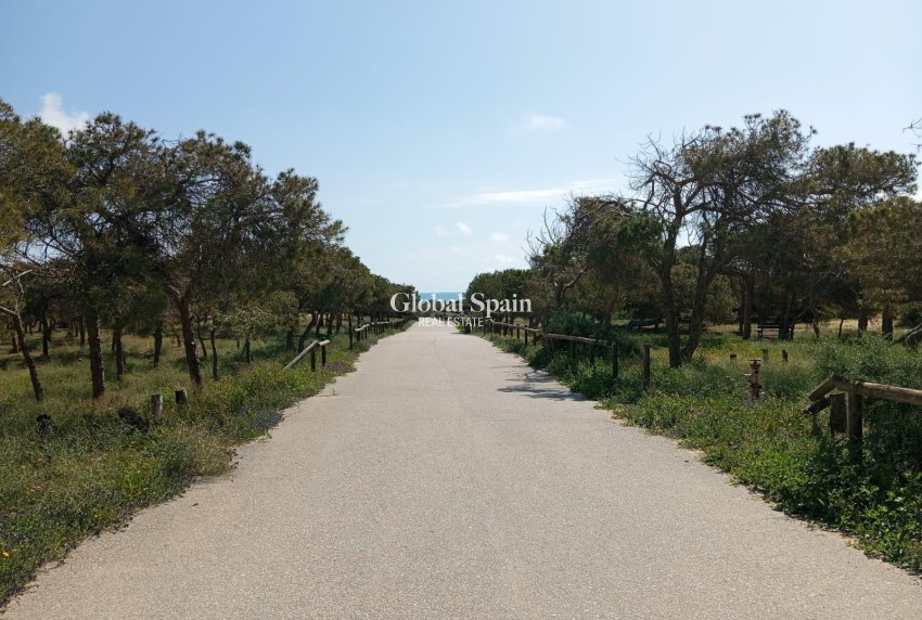 Venta - APARTAMENTO -
GUARDAMAR DEL SEGURA - Urbanizaciones