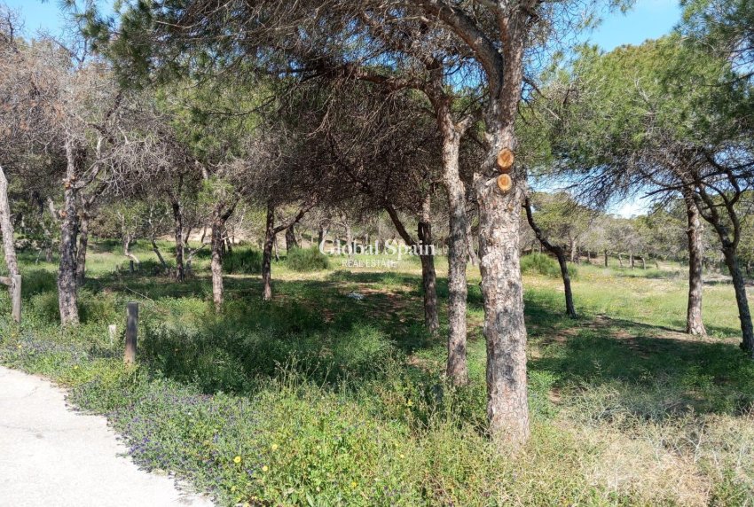 Venta - APARTAMENTO -
GUARDAMAR DEL SEGURA - Urbanizaciones