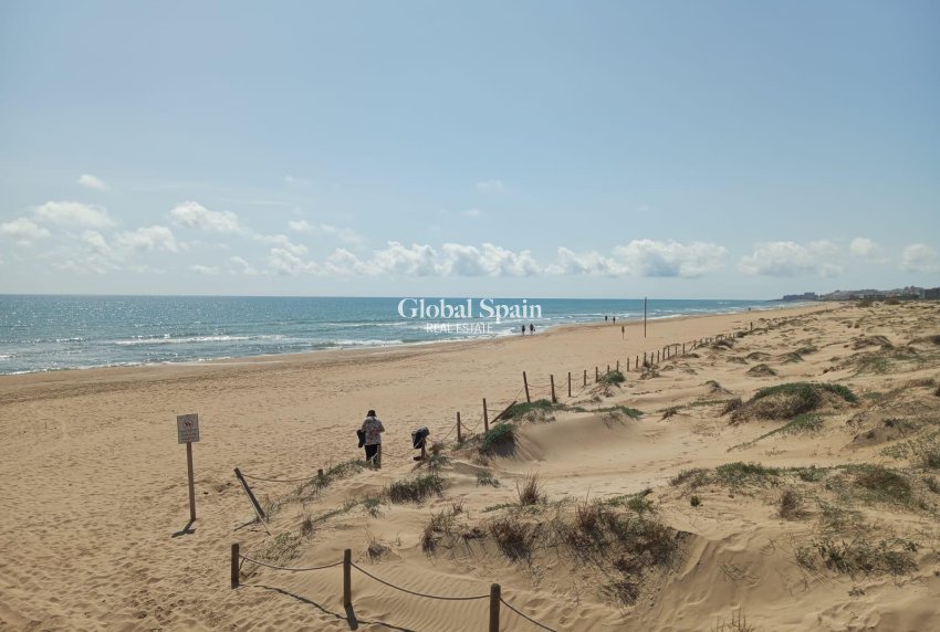 Venta - APARTAMENTO -
GUARDAMAR DEL SEGURA - Urbanizaciones