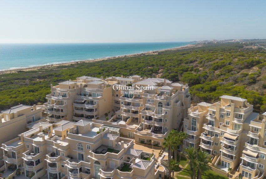 Venta - APARTAMENTO -
GUARDAMAR DEL SEGURA