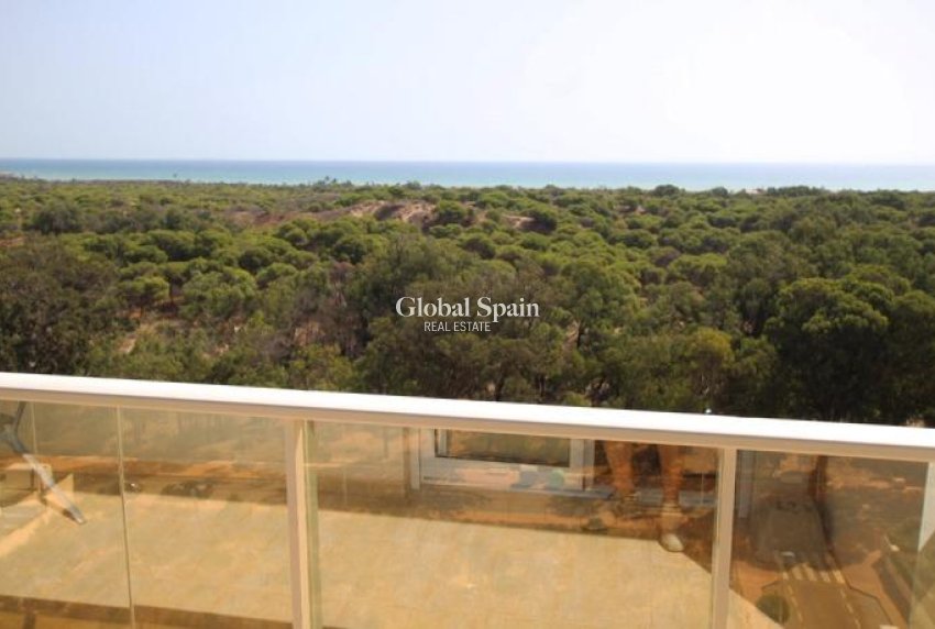 Venta - APARTAMENTO -
GUARDAMAR DEL SEGURA