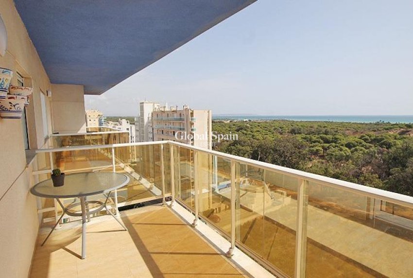 Venta - APARTAMENTO -
GUARDAMAR DEL SEGURA
