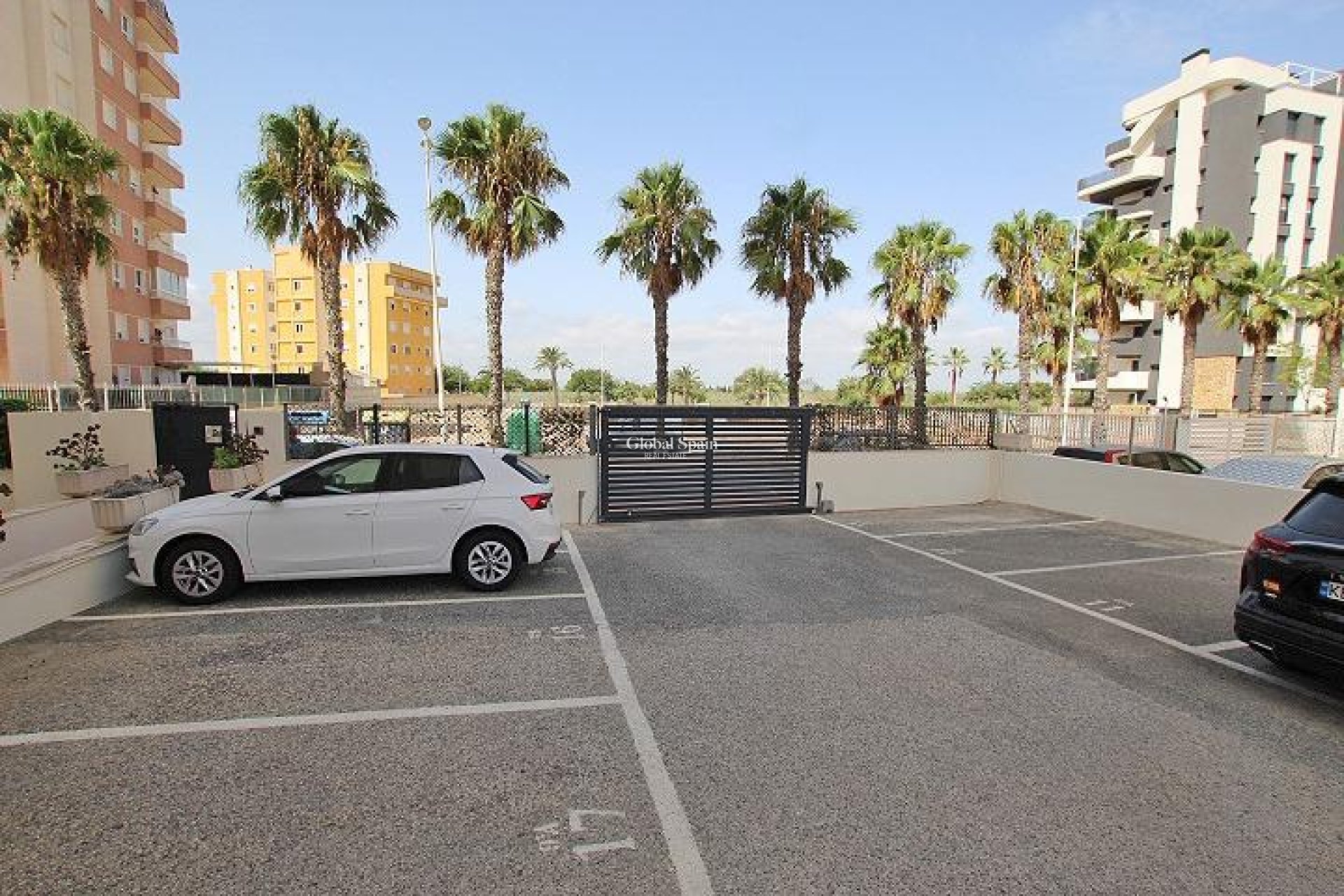 Venta - APARTAMENTO -
GUARDAMAR DEL SEGURA