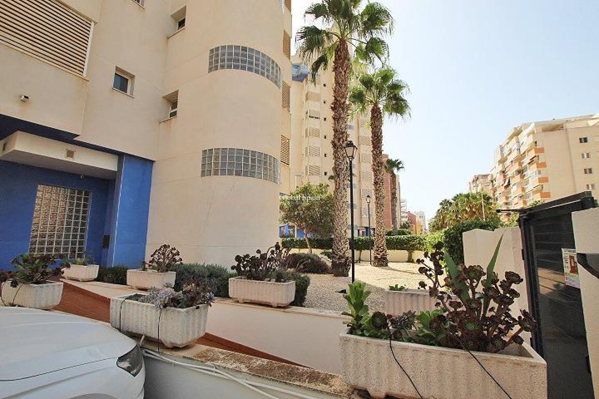 Venta - APARTAMENTO -
GUARDAMAR DEL SEGURA
