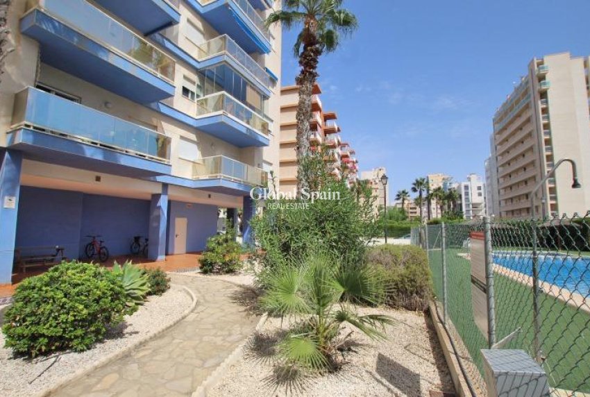 Venta - APARTAMENTO -
GUARDAMAR DEL SEGURA