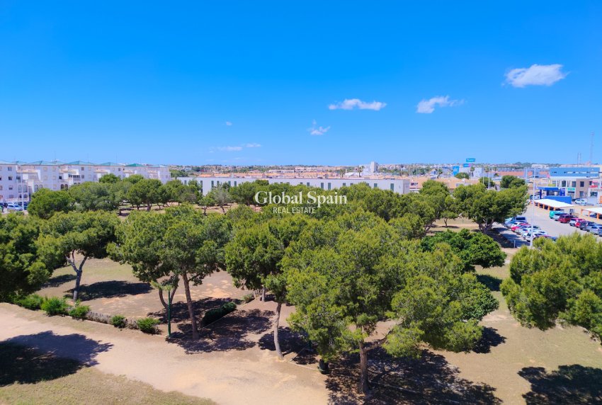 Venta - APARTAMENTO -
LA ZENIA - Costa Blanca