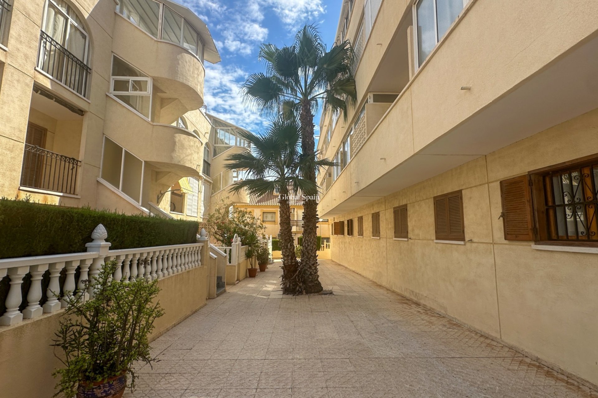 Venta - APARTAMENTO -
LA ZENIA - Costa Blanca