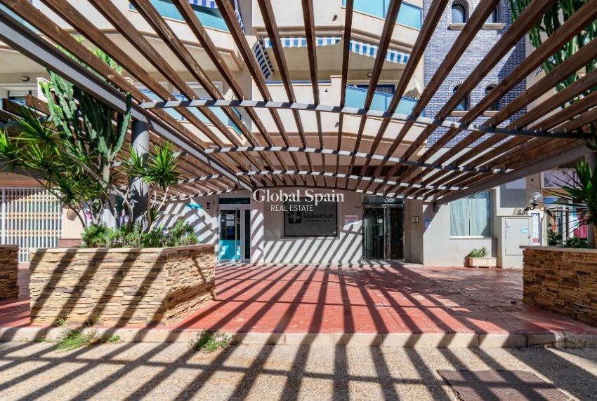 Venta - Apartamento -
LA ZENIA