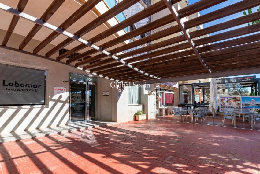 Venta - Apartamento -
LA ZENIA