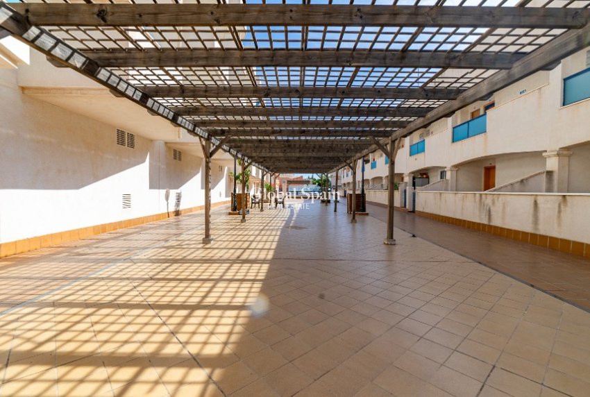 Venta - Apartamento -
LA ZENIA