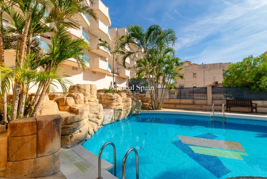 Venta - Apartamento -
LA ZENIA