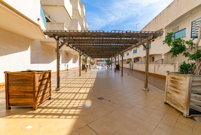 Venta - Apartamento -
LA ZENIA