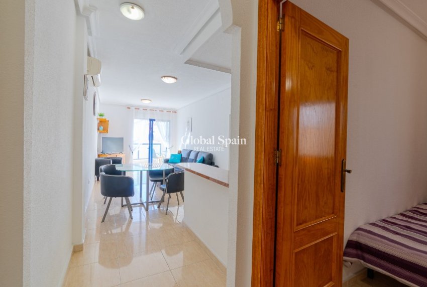 Venta - Apartamento -
LA ZENIA