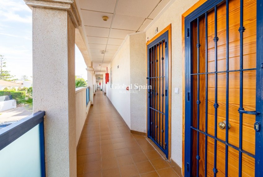 Venta - Apartamento -
LA ZENIA