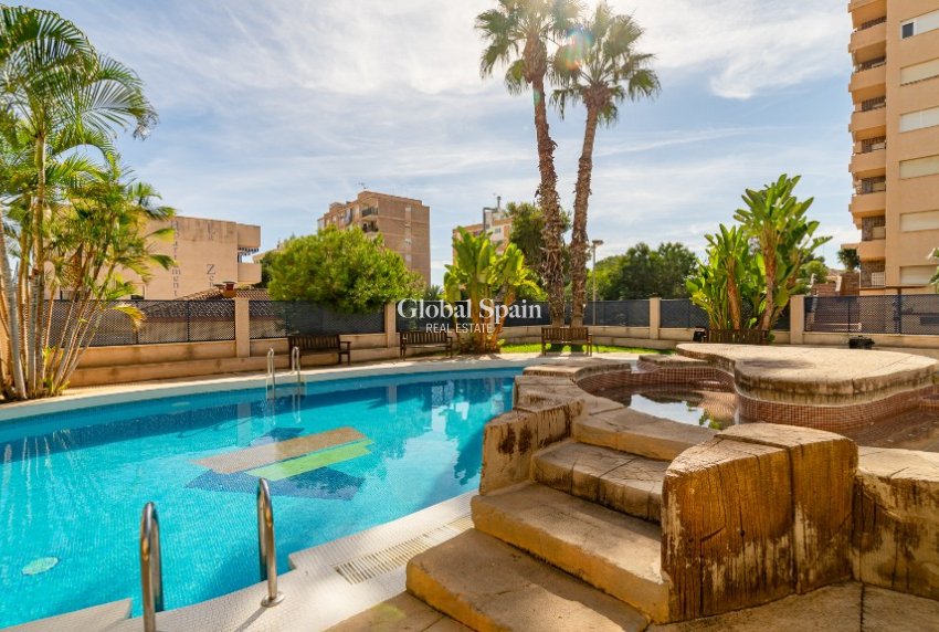 Venta - Apartamento -
LA ZENIA