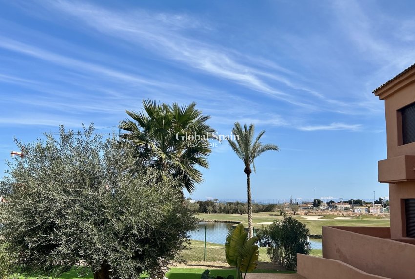 Venta - APARTAMENTO -
LOS ALCÁZARES