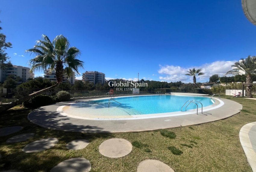 Venta - APARTAMENTO -
LOS DOLSES - Inland