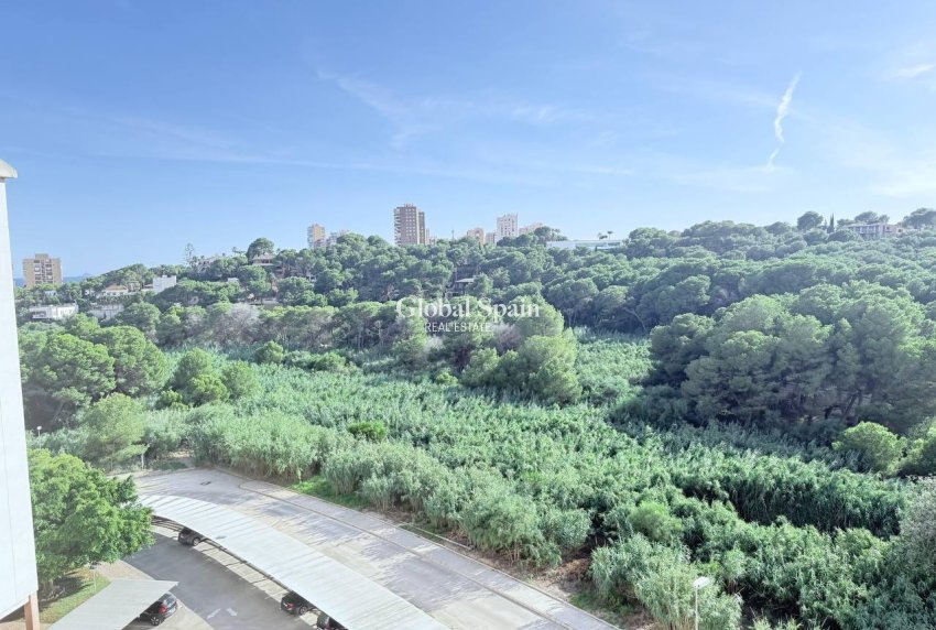 Venta - APARTAMENTO -
ORIHUELA COSTA - CAMPOAMOR