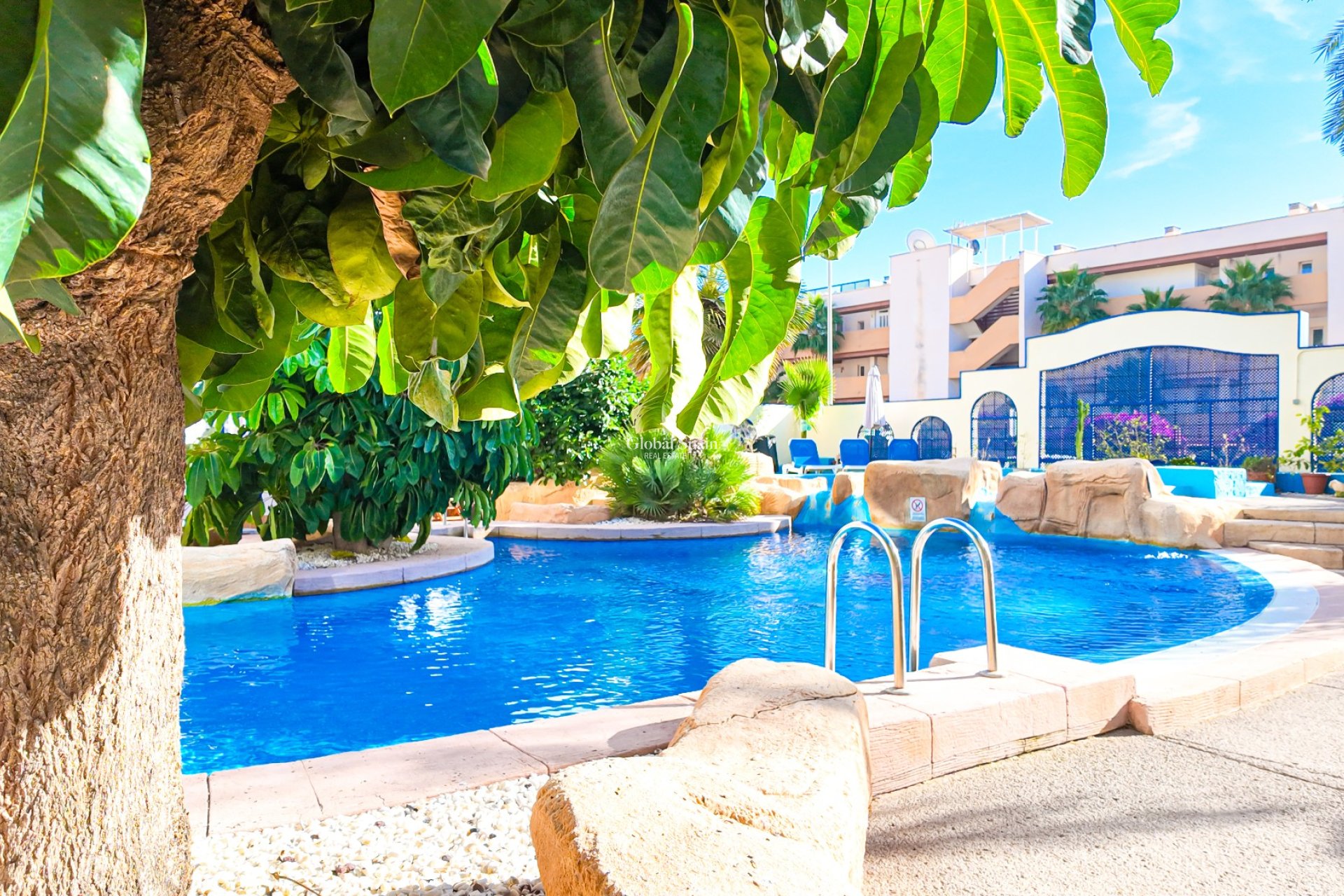 Venta - APARTAMENTO -
ORIHUELA COSTA - Costa Blanca