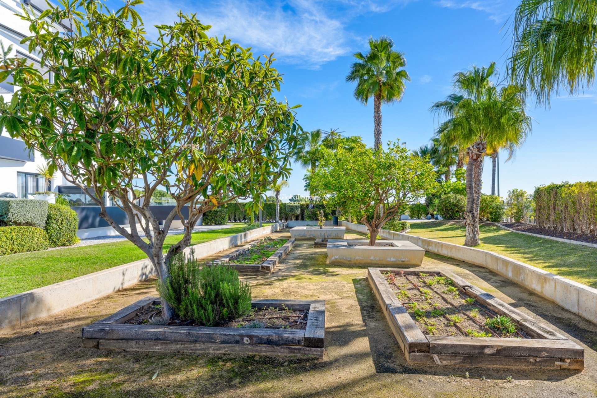 Venta - APARTAMENTO -
ORIHUELA COSTA - Costa Blanca