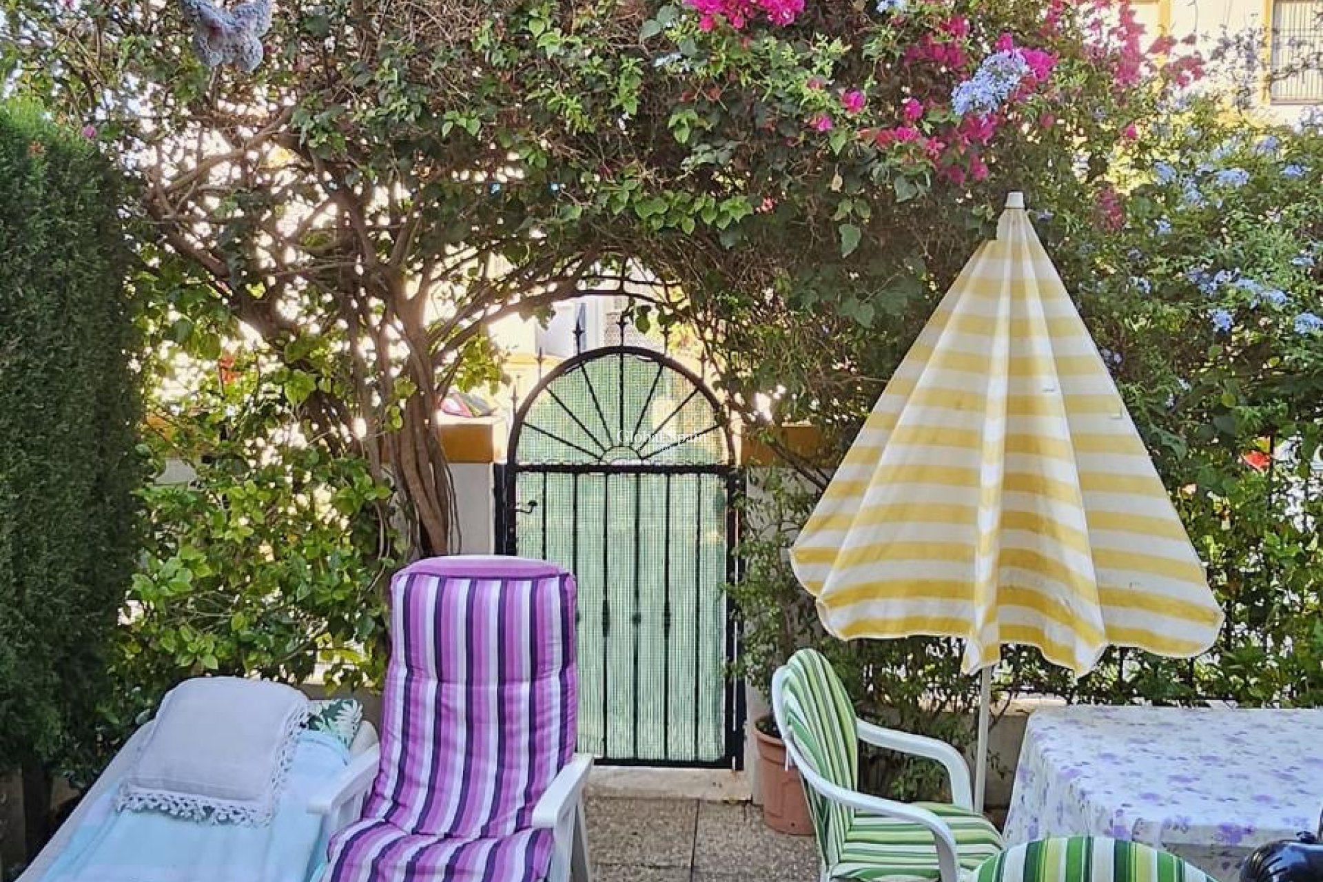 Venta - APARTAMENTO -
ORIHUELA COSTA - Costa Blanca