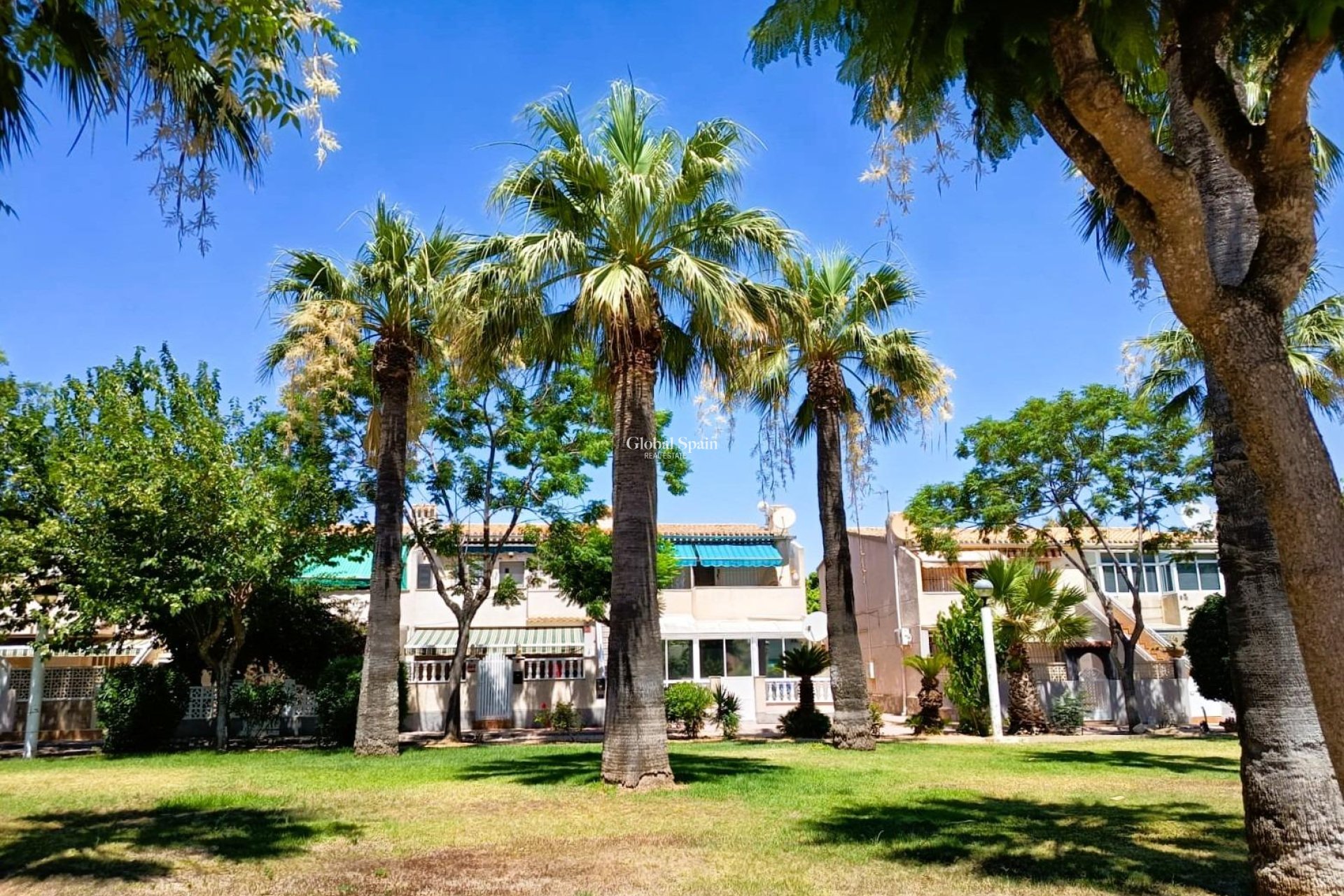 Venta - APARTAMENTO -
ORIHUELA COSTA - Costa Blanca