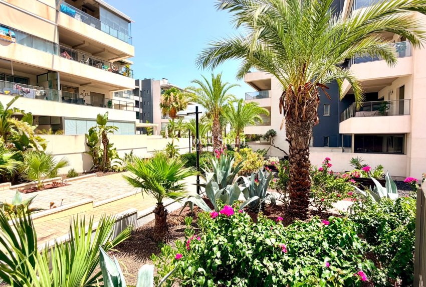 Venta - APARTAMENTO -
ORIHUELA COSTA - Costa Blanca