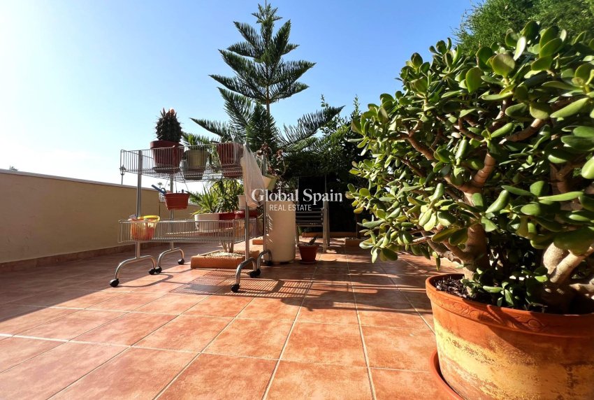 Venta - APARTAMENTO -
ORIHUELA COSTA - Lomas De Cabo Roig-los Dolses