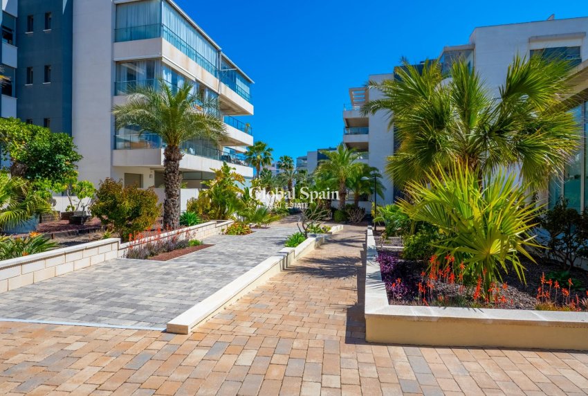 Venta - APARTAMENTO -
ORIHUELA COSTA - Los Dolses