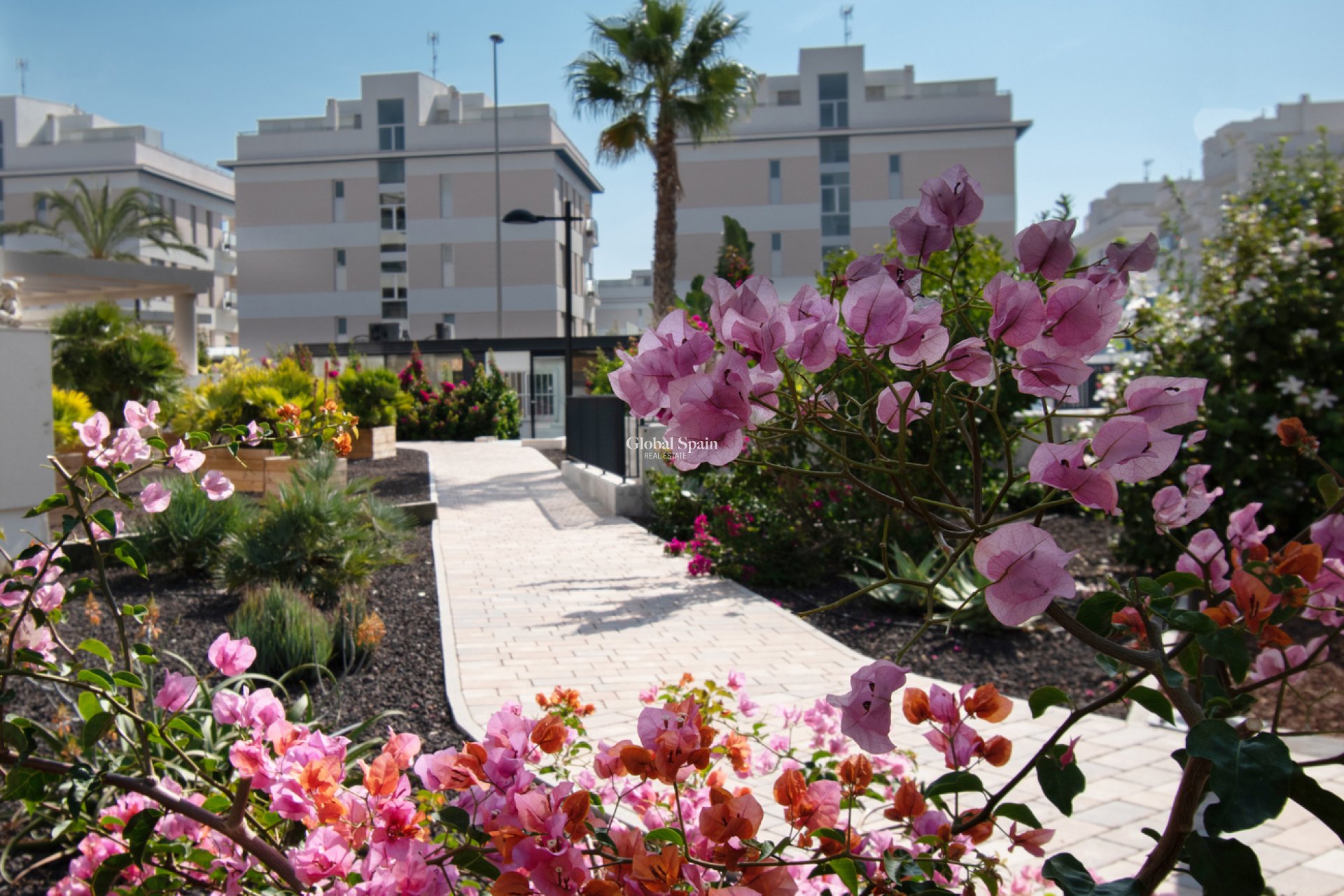 Venta - APARTAMENTO -
ORIHUELA COSTA - Los Dolses
